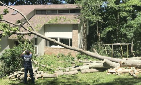 Mills Tree Service 12385 Korea Rd, Amissville Virginia 20106