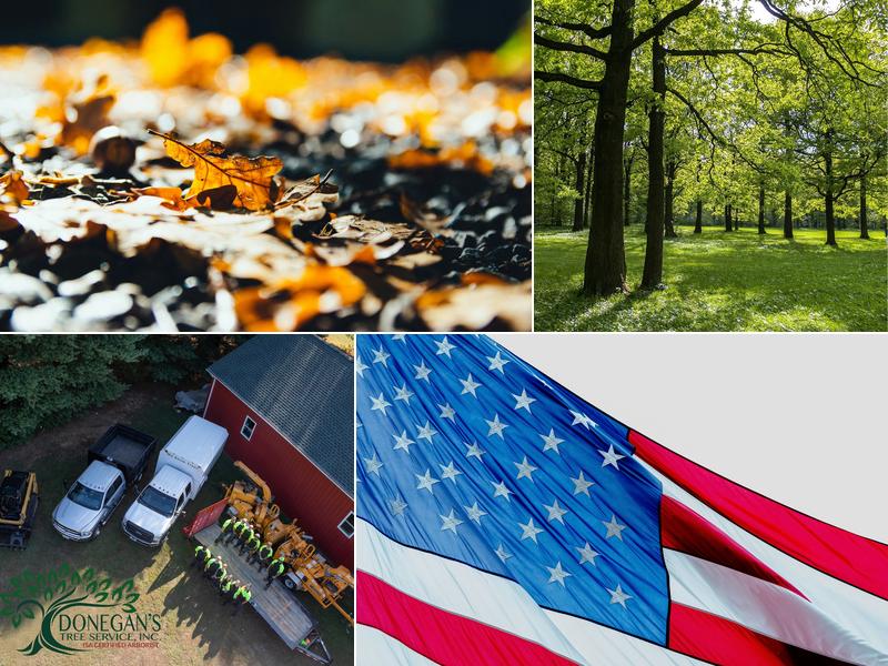 Donegan's Tree Service, Inc