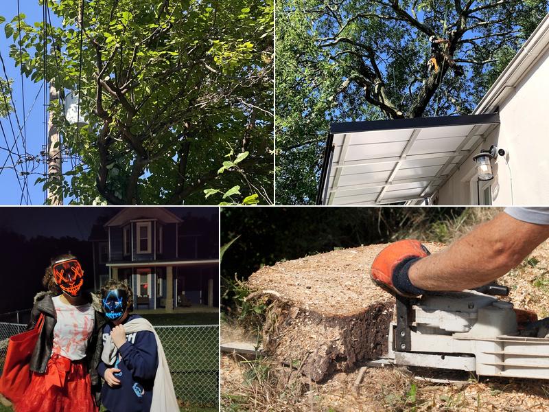 Hunts Tree Service LLC