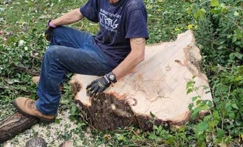 The Tree Service Middletown