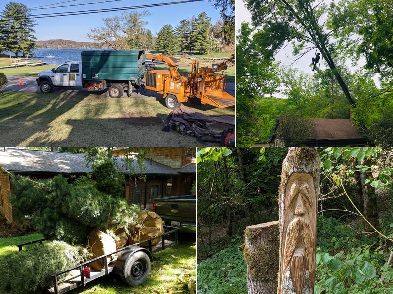 Arbor Tech Tree Care, LLC