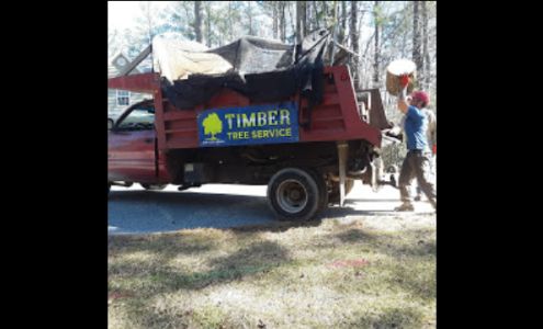 Timber Tree Service