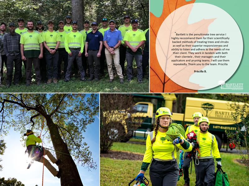 Bartlett Tree Experts