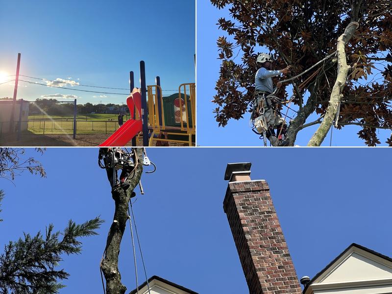 Richard's Tree Service