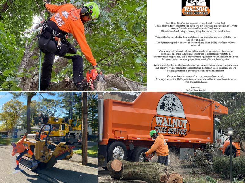 Walnut Tree Services