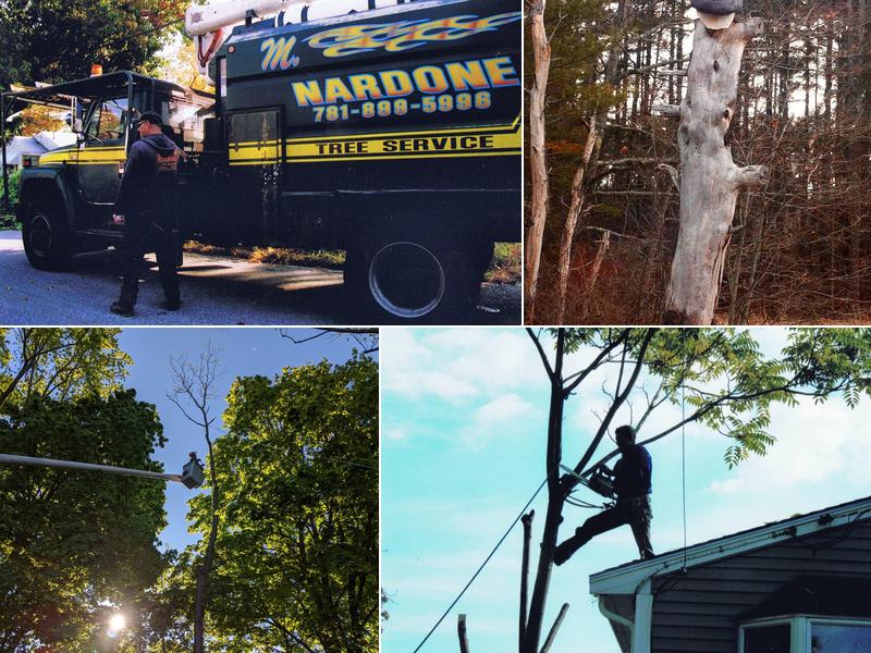 Nardone Tree Service