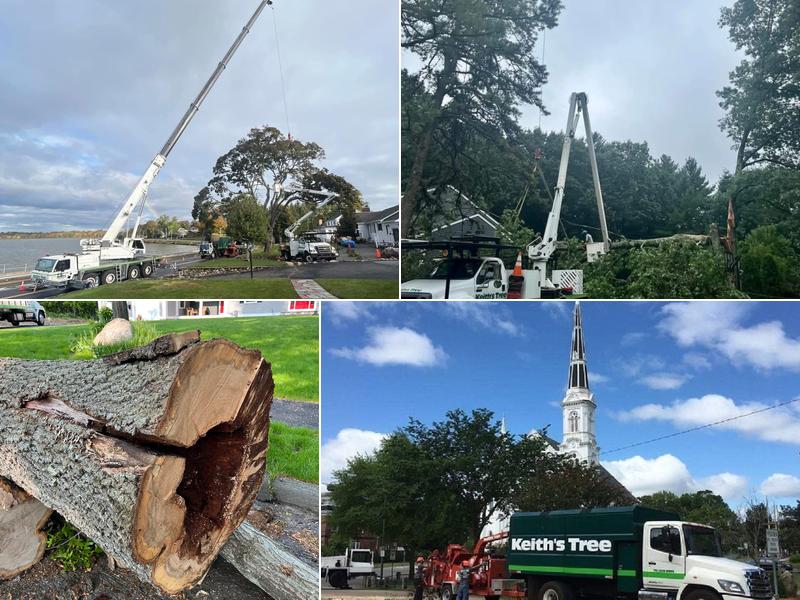 Keith's Tree Service
