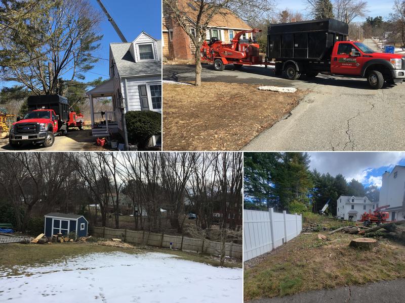 Maribito Tree Services