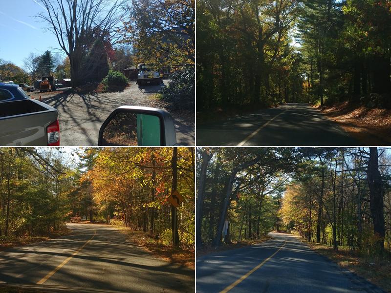 Tree Specialists, Inc