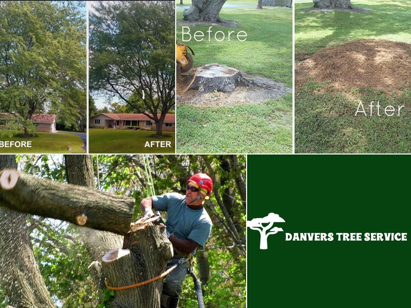 Danvers Tree Service
