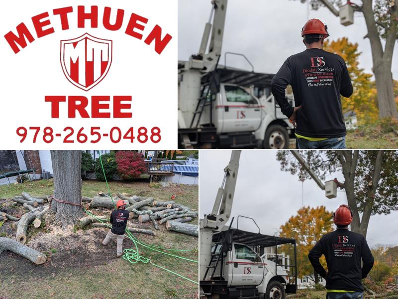 Methuen Tree Service