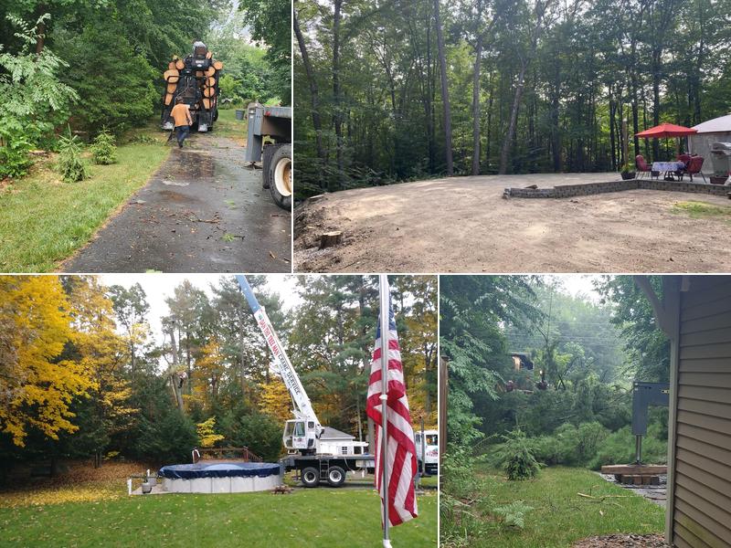 Dan the Tree Man closed jan and feb