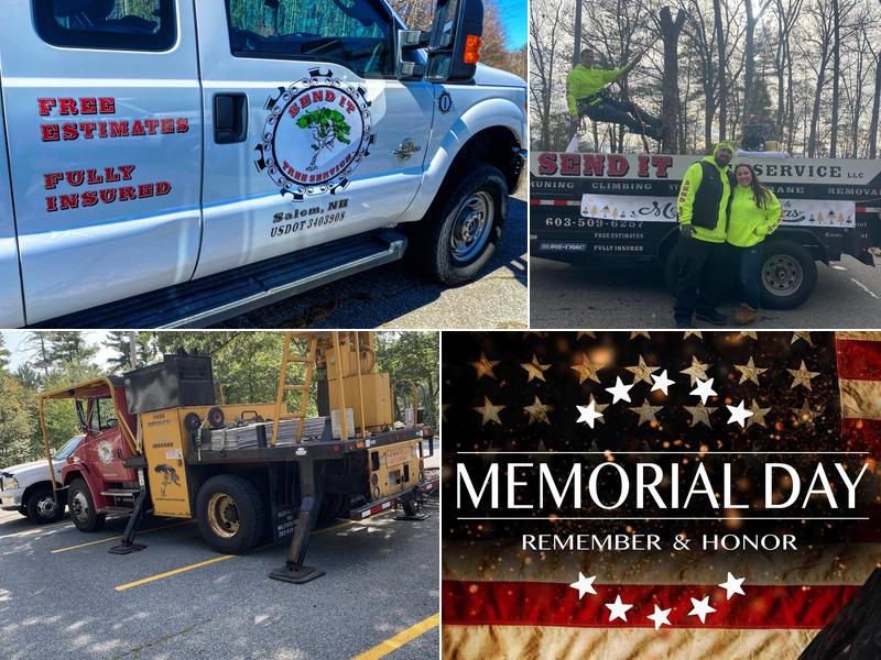 Send It Tree Service LLC