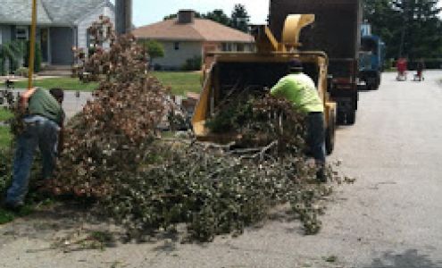 Vieira's Tree Service and Stump Grinding