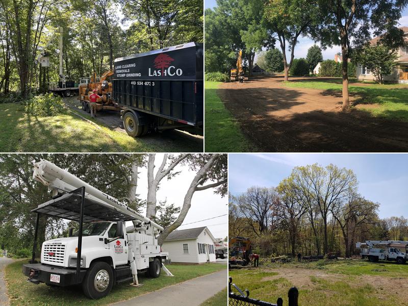Lashco Tree Service LLC
