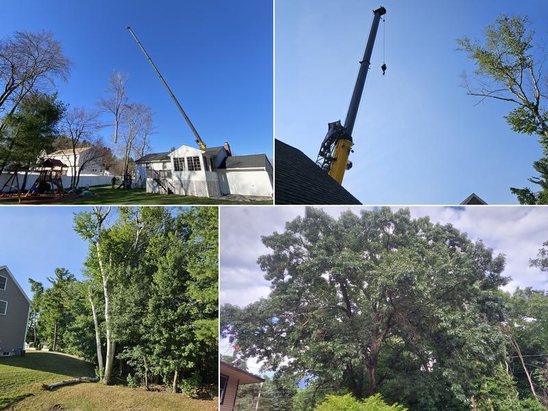 Chuck's Tree Service