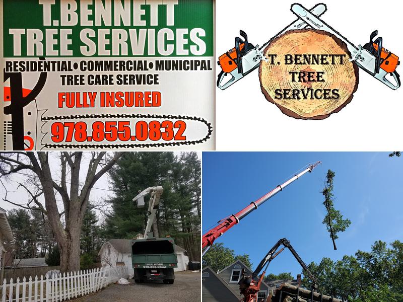 T Bennett Tree Service