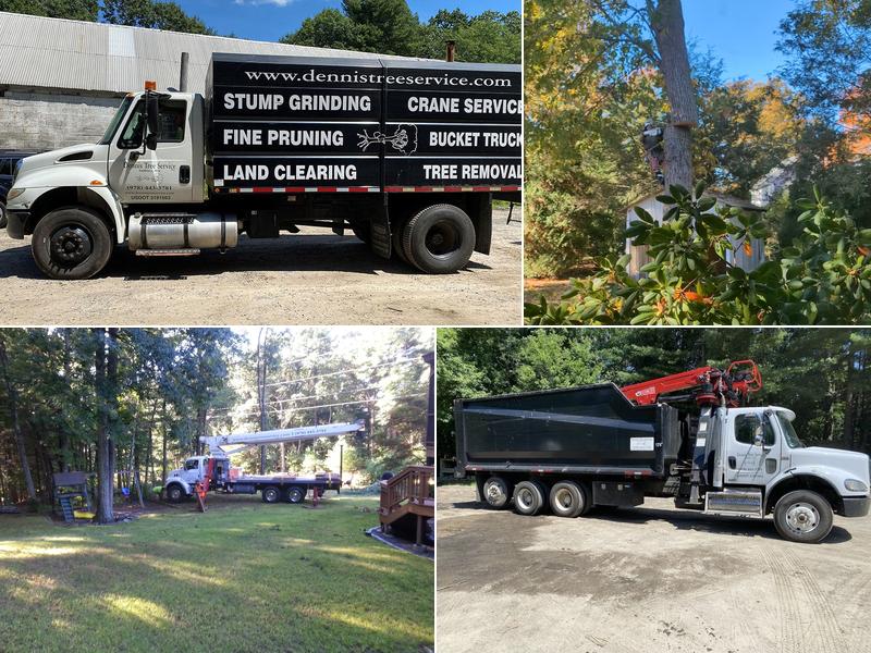 Dennis Tree Service Inc