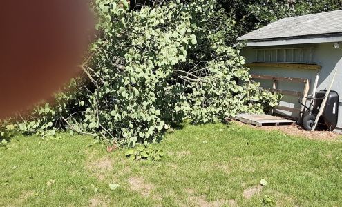 Larkin Tree Services