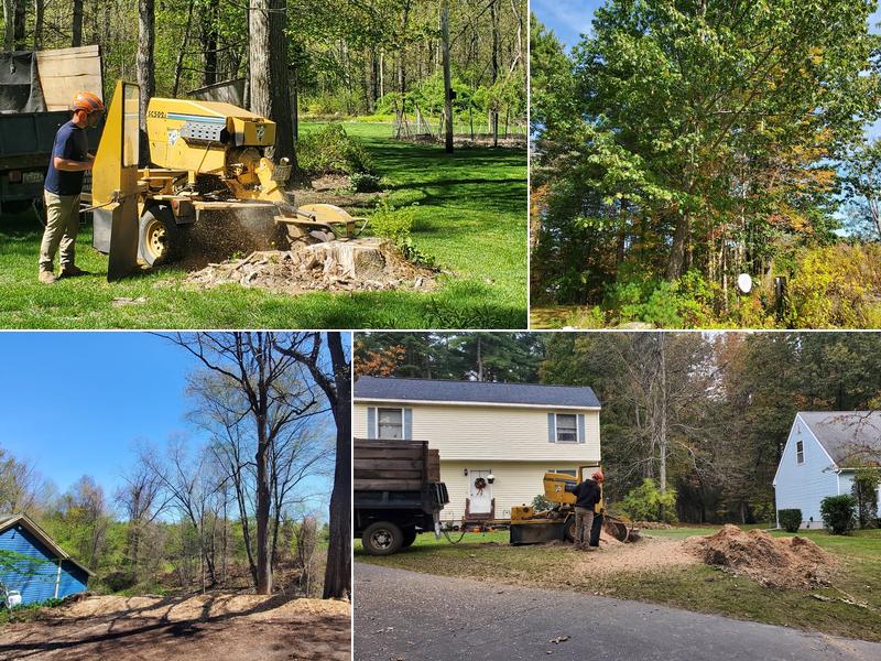 Martino Tree Services