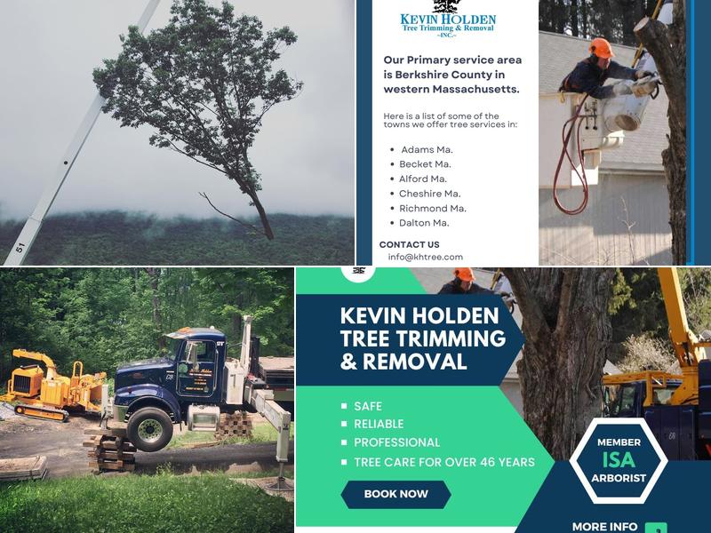 Kevin Holden Tree Trimming & Removal