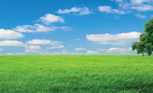 Great Green Cleaning & Maid Service