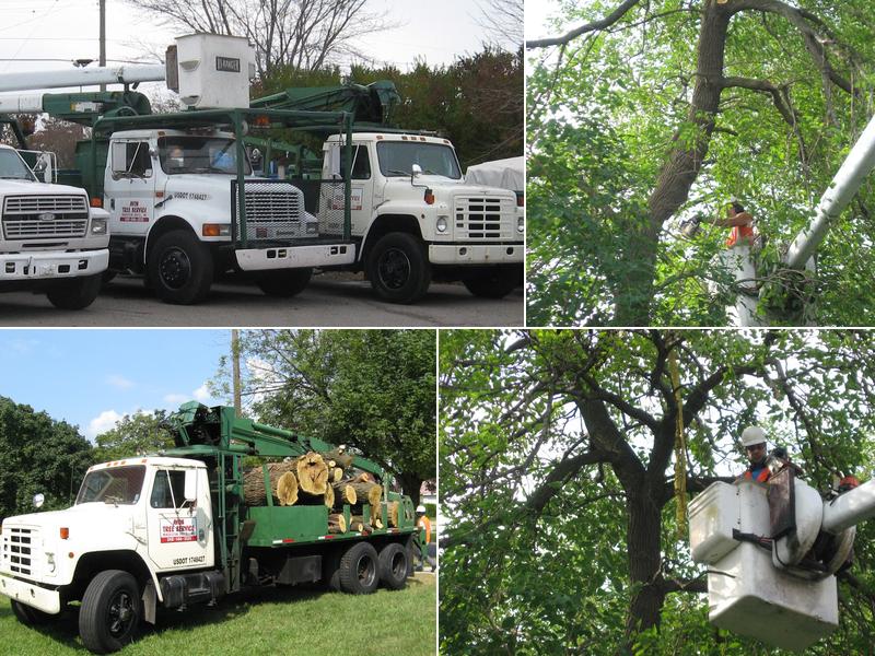 Avon Tree Service LLC
