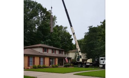 Jenny's Tree Service