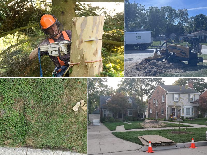 Frank Jastrabek's Tree Service Inc