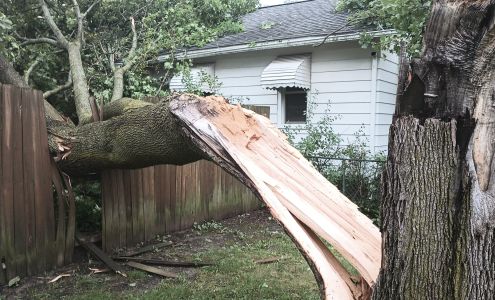 Prescott Tree Service