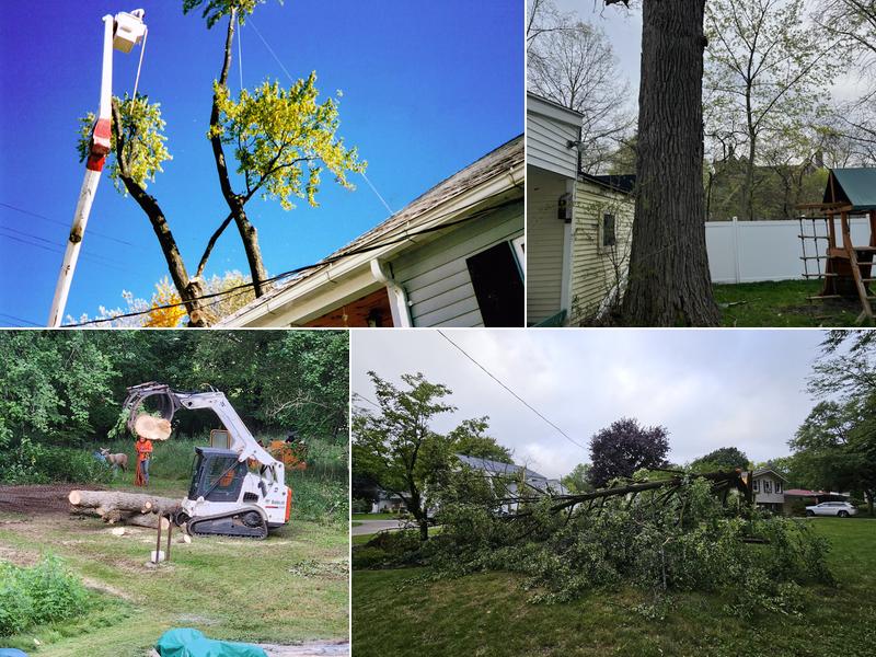 Allen Benjamin Tree Care Inc.