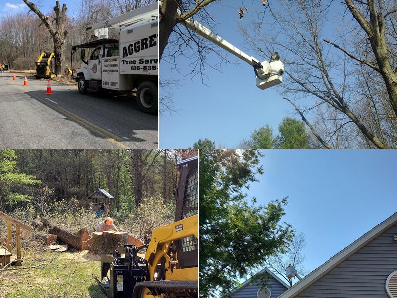 Aggressive Tree Service LLC