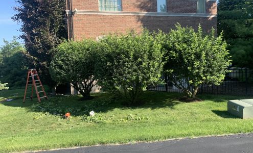 Westside Forestry Services