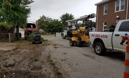 E & J Tree Services