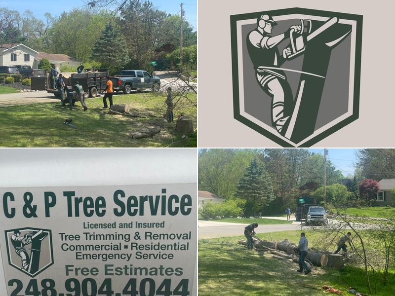 C&P Tree Service