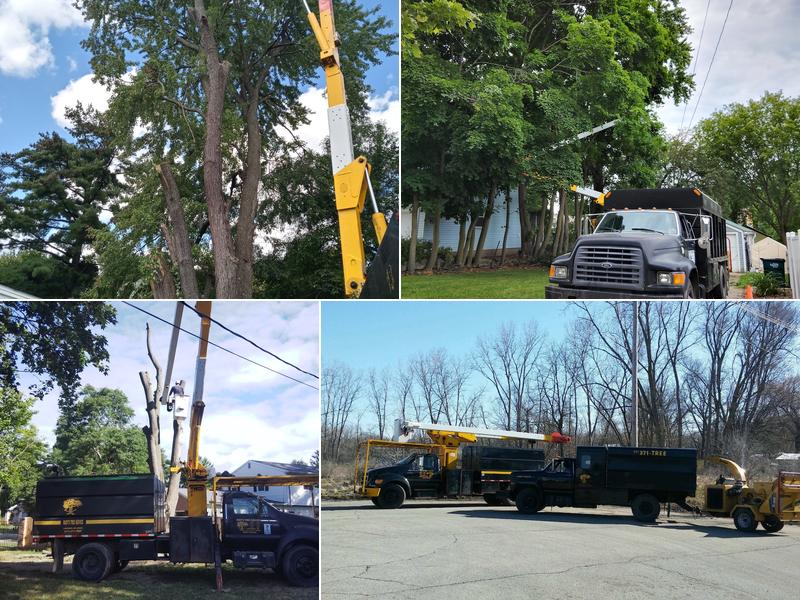 Ruby's Tree Service