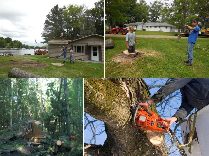 Oakridge Tree Service, LLC