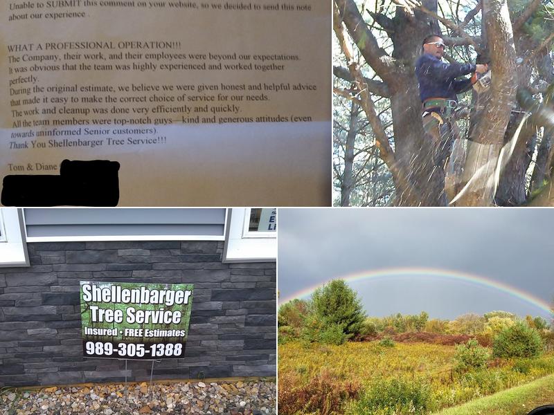 Shellenbarger Tree Service