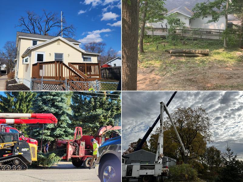 Irish Harvey A Tree Services