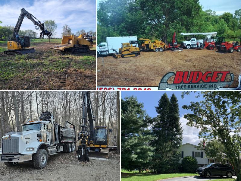 Budget Tree Service, Inc.