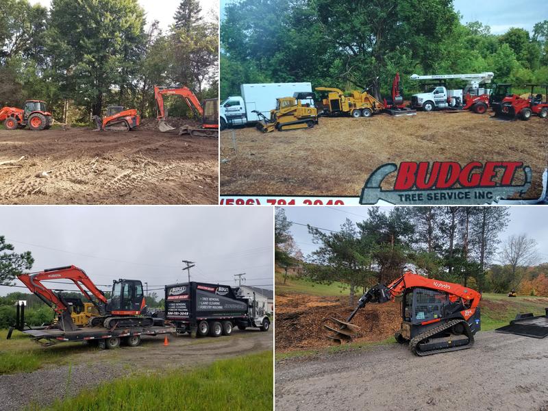 Budget Tree Service, Inc.