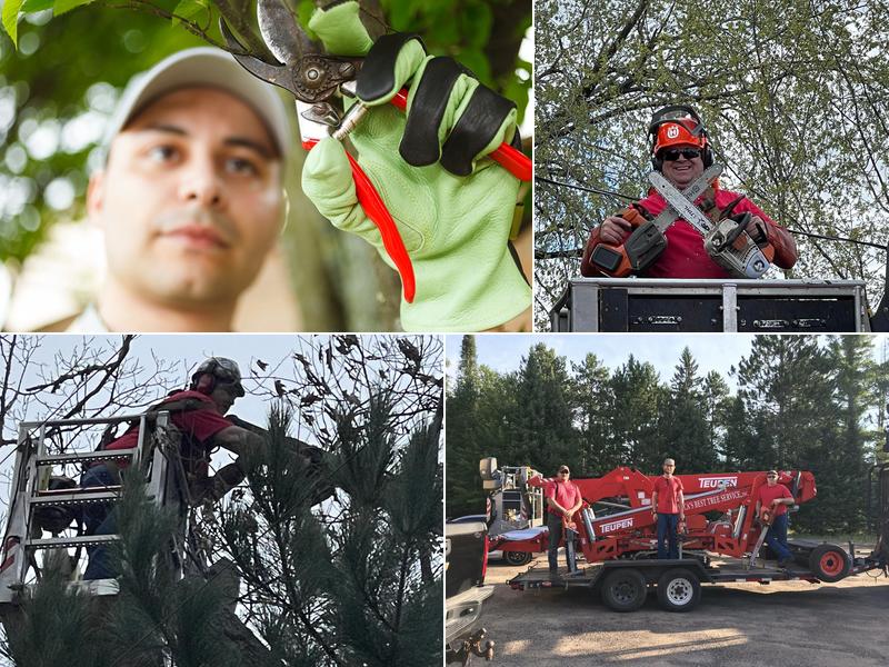 Healy's America's Best Tree Service