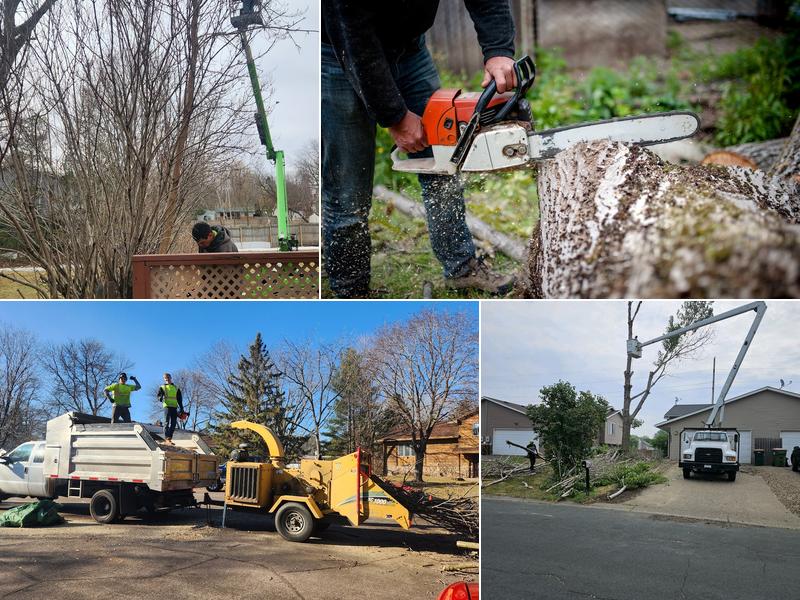 Cameron Tree Service