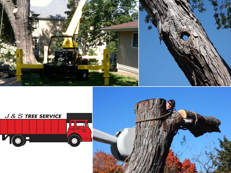 J & S Tree Service