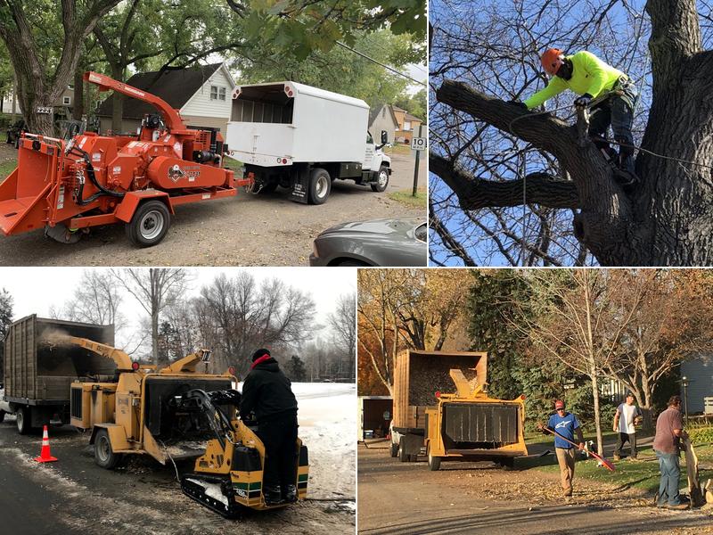 A-A-A Tree Care & Landscaping LLC