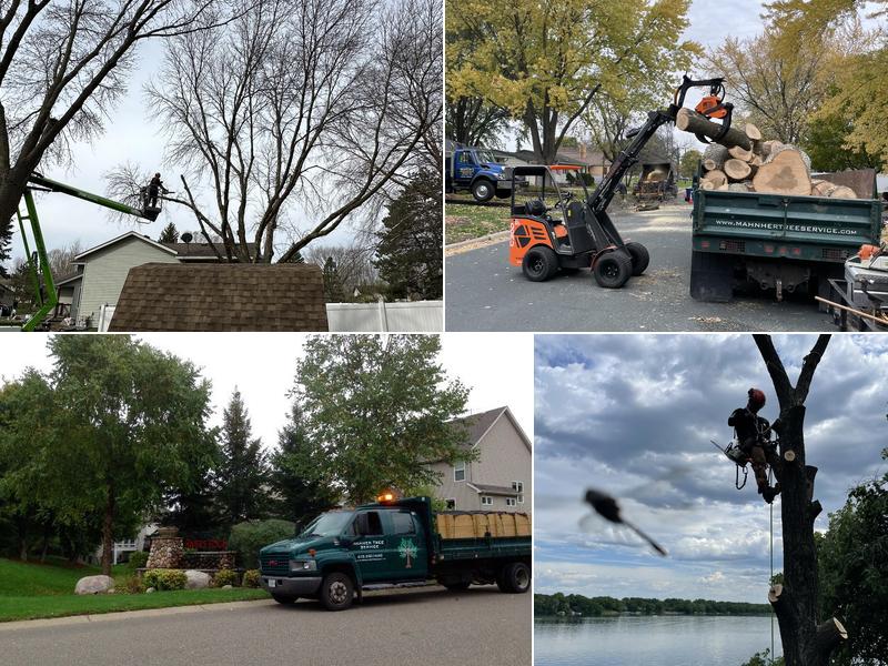 Mahner Tree Service