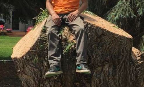 Thomas Tree Services