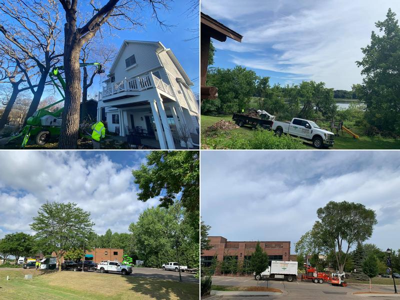 Dvorak Tree Service LLC