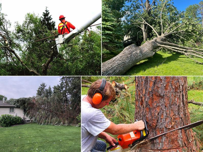 Ron's Tree Service and Firewood