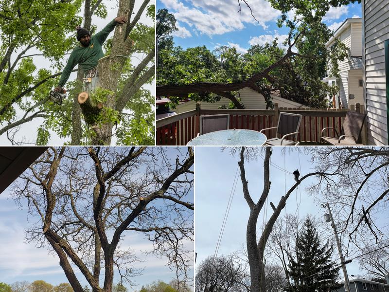 twins G Tree Service